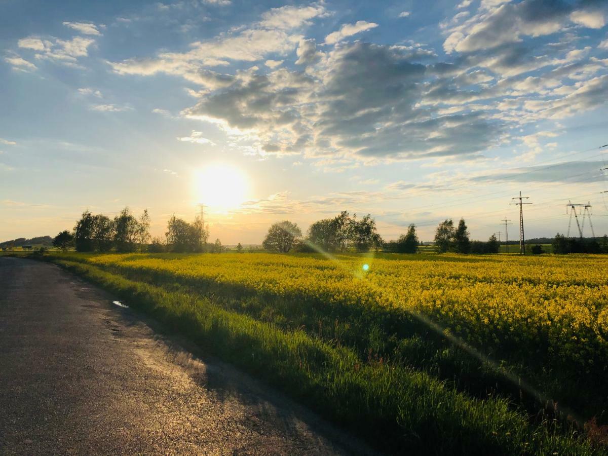 Nibylandia Dom pod Lasem Nowa Wies Grodziska Exteriér fotografie