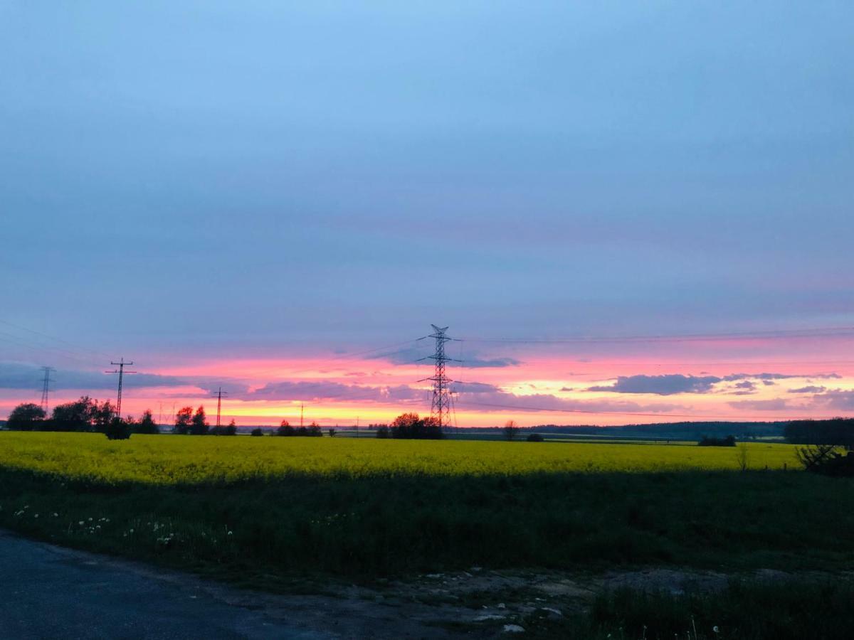 Nibylandia Dom pod Lasem Nowa Wies Grodziska Exteriér fotografie