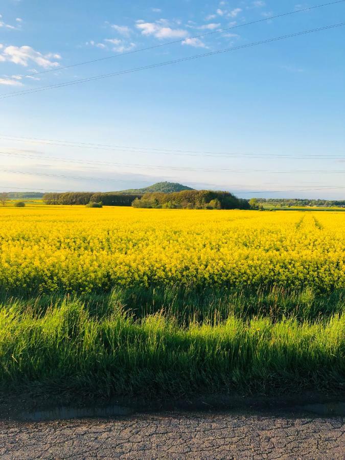 Nibylandia Dom pod Lasem Nowa Wies Grodziska Exteriér fotografie