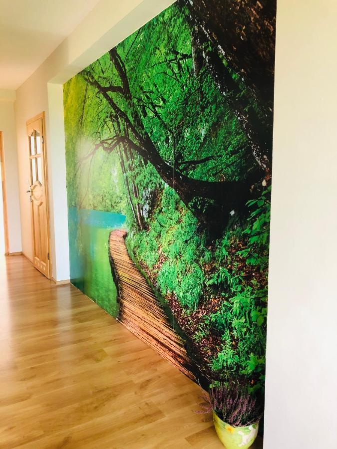 Nibylandia Dom pod Lasem Nowa Wies Grodziska Exteriér fotografie